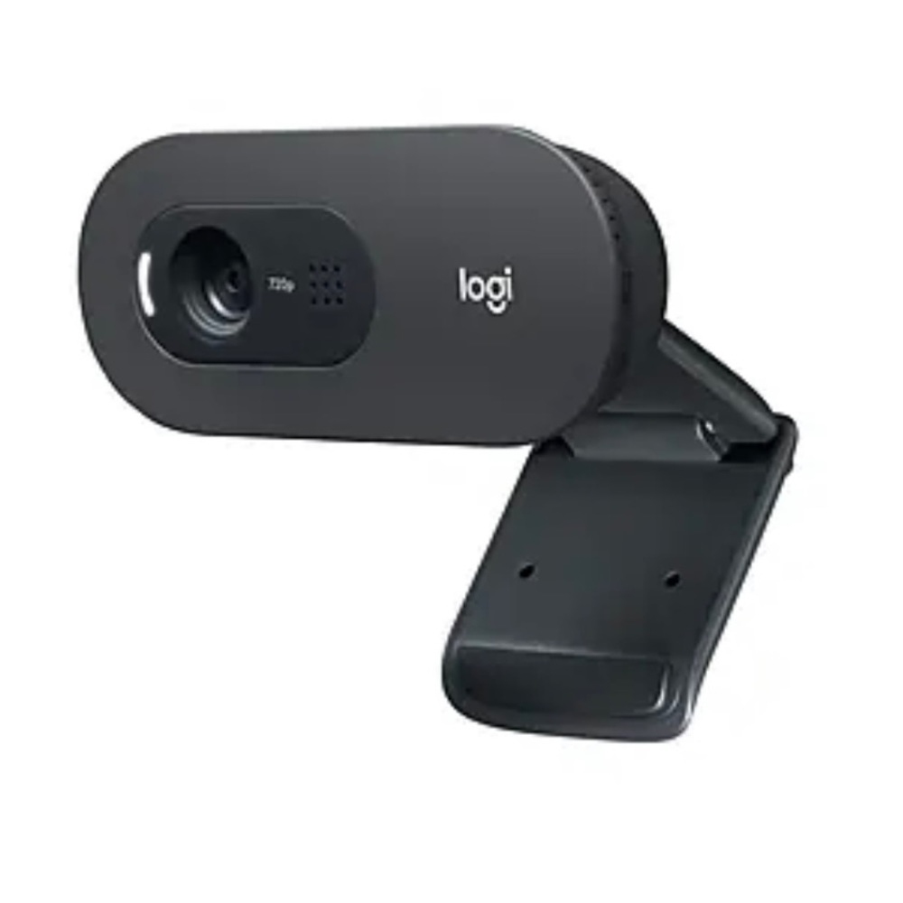 Logitech C505 HD Webcam with Long-Range Mic for Video Calls